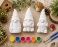3 Little Gnomes Paint Kit